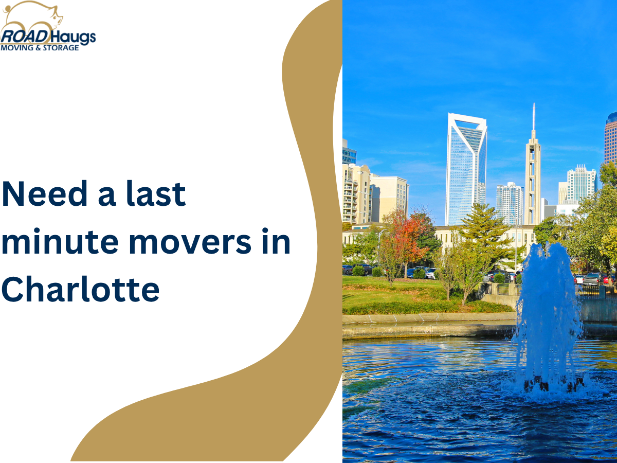 Need a Last-Minute Mover in Charlotte? Here’s What to Do