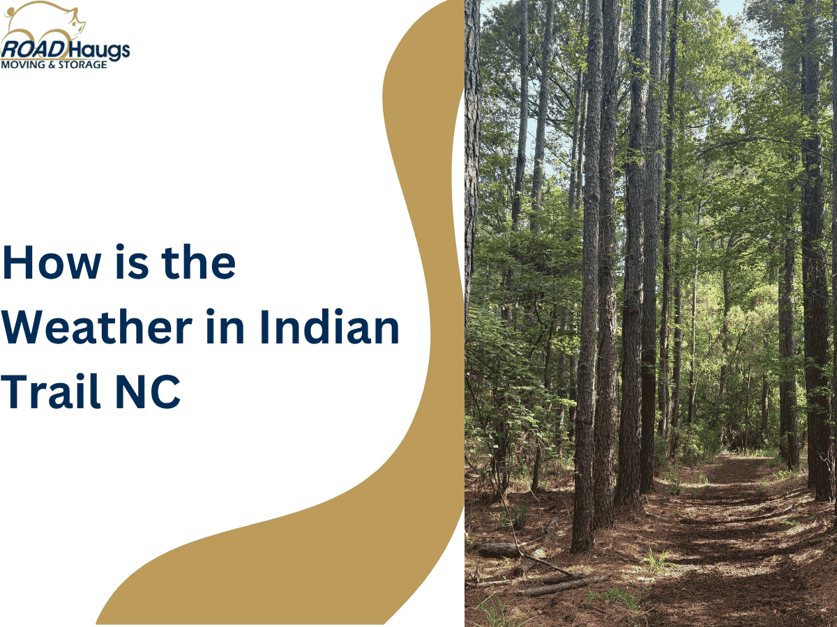 How Is the Weather in Indian Trail, NC?